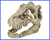  Aqua Nova, Dinosaur Skull, 8 .